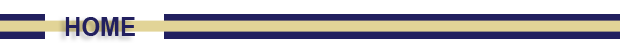 2009